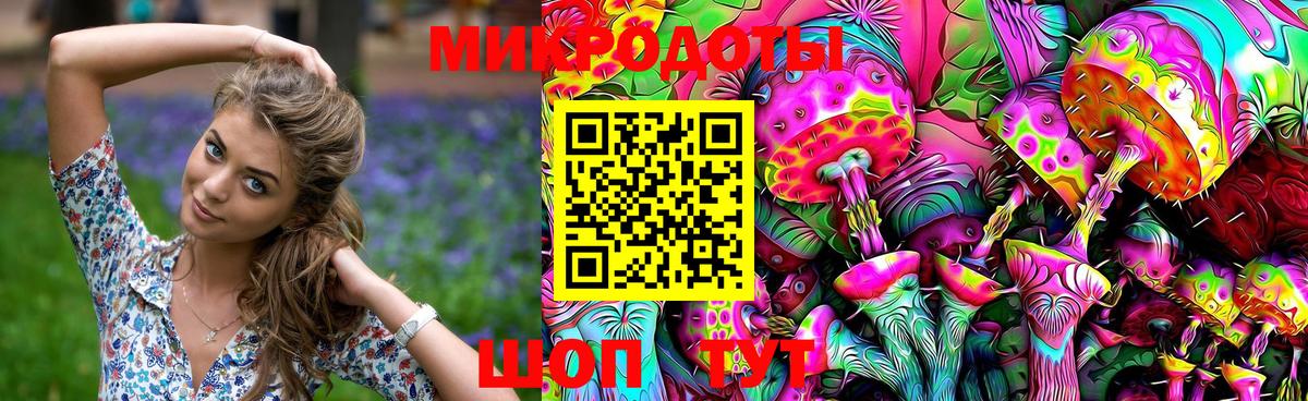 Псилоцибиновые грибы Psilocybine cubensis Сертолово