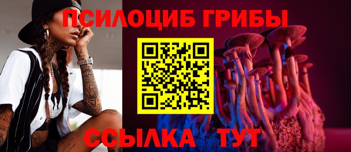 Псилоцибиновые грибы прущие грибы  Вход с VPN  Сертолово 